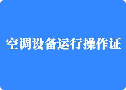 啊啊啊插死我了在线看好爽好大制冷工证